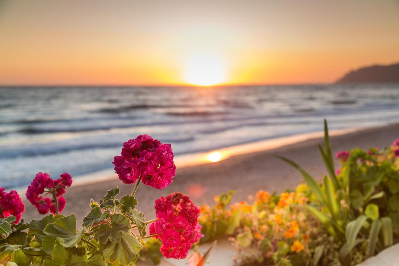 Guest house Dandidis Seaside Agios Gordios (Corfu)